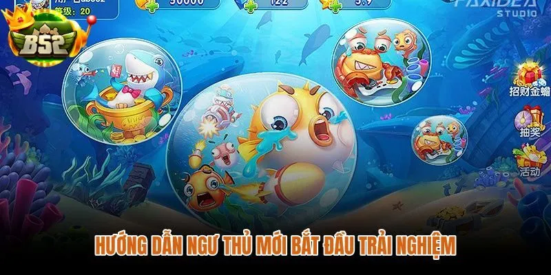 Hướng dẫn ngư thủ mới vào bắn cá với thao tác rõ và nhịp chơi dễ theo